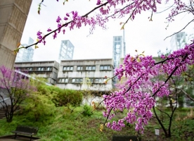 McMaster University