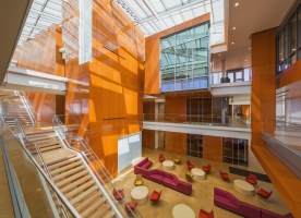 Adelphi University