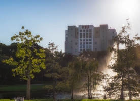 Florida International University