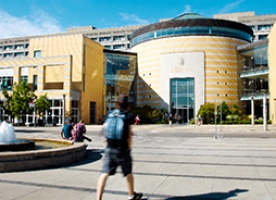 York University