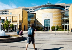 York University