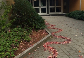 Handsworth Secondary School