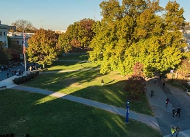 American University