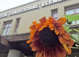 Auguston Traditional Elementary