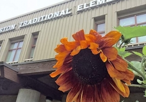 Auguston Traditional Elementary