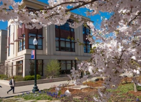 American University
